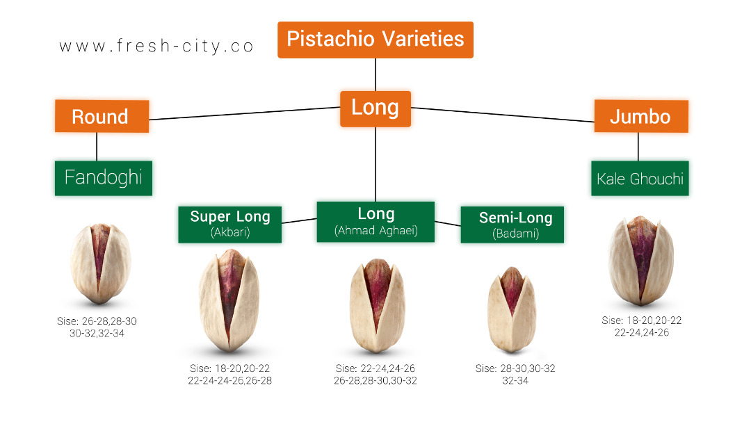 pistachio catalog