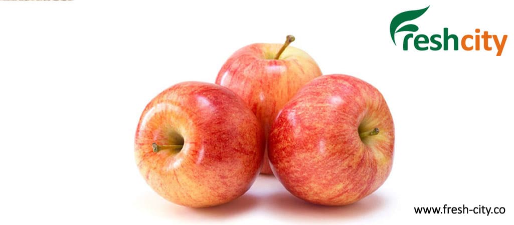 Gala Apple Supplier