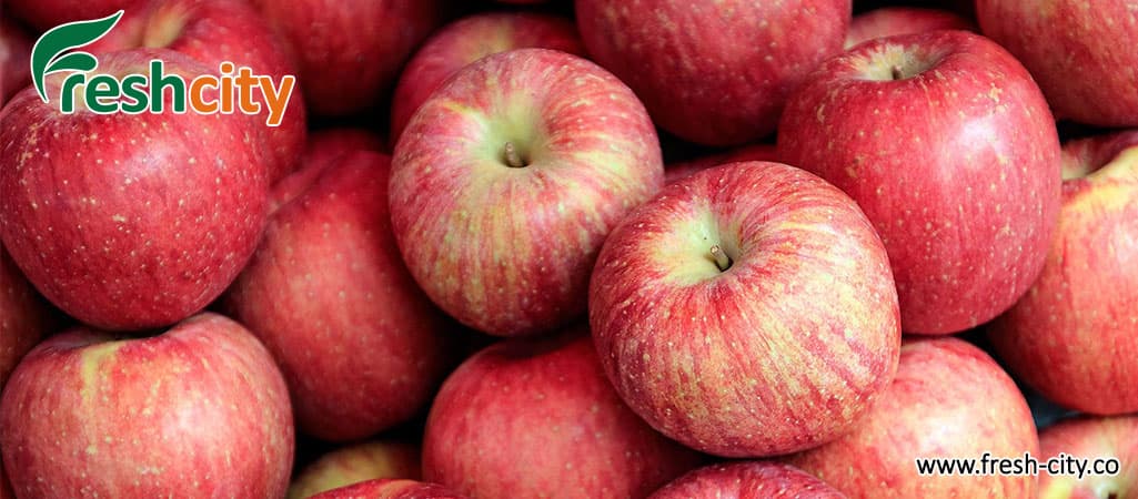 Gala Apple Wholesale